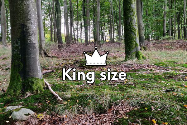 king-size-600x400